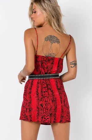 Snakeskin Slip Dress And Belt thumbnail 2