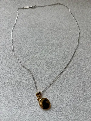 NWOT Jenny Bird Two-Tone Silver Chain Necklace with Gold Pendant Charm thumbnail 1