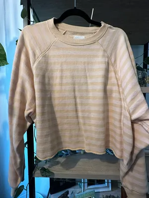 American Eagle Outfitters Sweatshirt thumbnail 1