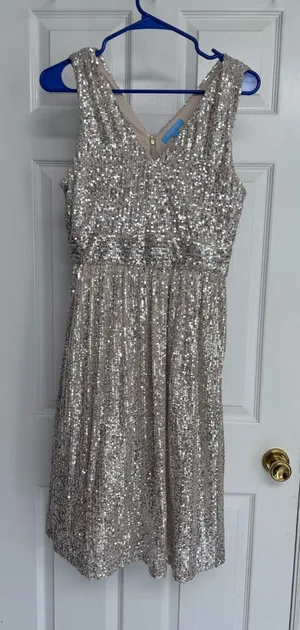 Draper James Champagne Sequin A-Line dress thumbnail 1