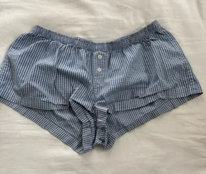 Brandy Melville blue and white gingham shorts thumbnail 1
