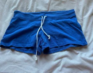 Blue Brandy Melville Shorts thumbnail 1