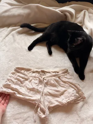 John Galt Brandy Melville Shorts thumbnail 2