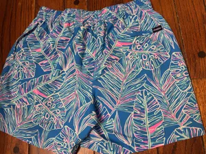 Chubbies Shorts thumbnail 3