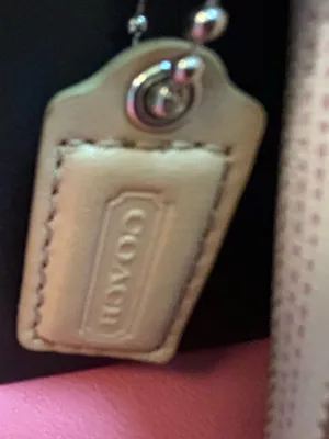Coach Beige Stripe Wristlet with Pink Accents thumbnail 4