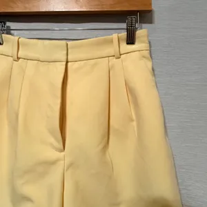 Abercrombie & Fitch Women 2 26 Pale Yellow Pleated High Rise Tailored‎ Shorts thumbnail 3