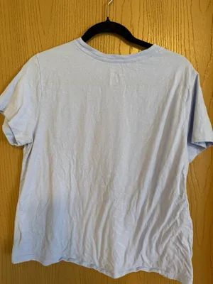 Light Blue Champion T-Shirt thumbnail 2