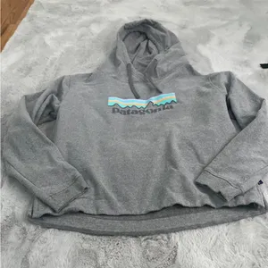 Patagonia hoodie thumbnail 1