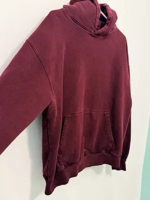 Colorful Standard Organic Oversized Hoodie in Oxblood Red Large thumbnail 12