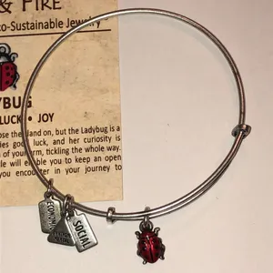 Alex and Ani Silver Tone Ladybug Charm Bracelet thumbnail 3