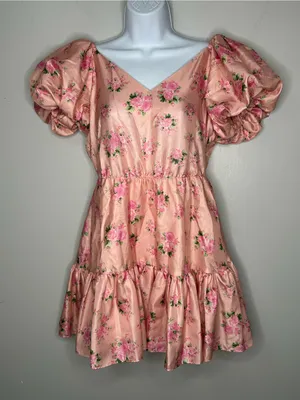 LoveShackFancy x Target Floral Mini Dress Size 6 thumbnail 1
