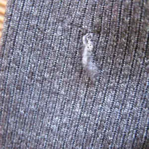 ALO Goddess Indio Zest High Waisted Leggings thumbnail 8