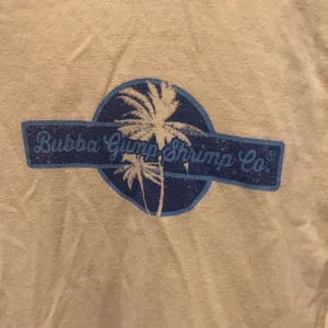 Comfort Colors Bubba Gump Shrimp Company T-Shirt Size small thumbnail 2