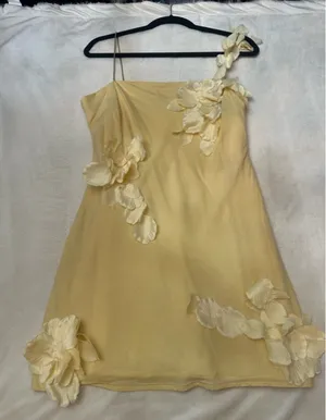Anthropologie Yellow Hutch 3D Floral Mini Dress thumbnail 3