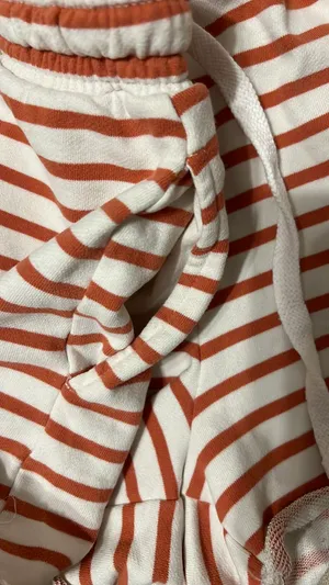 American Eagle Shorts thumbnail 2