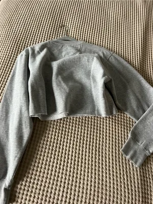 Blue 84 Gray Pioneers Cropped Sweatshirt with Red Logo thumbnail 3