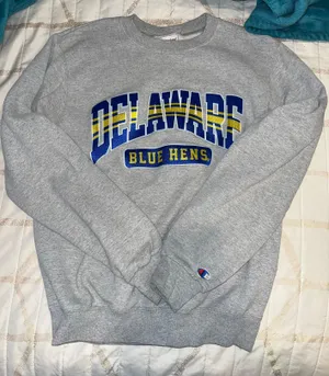 Champion UDel crewneck thumbnail 1