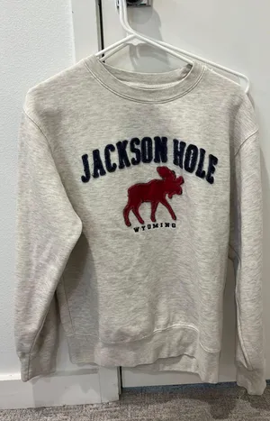 Sweatshirt Multiple thumbnail 1