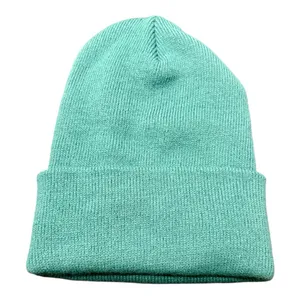 CARHARTT Knit Cuff Beanie In Turquoise thumbnail 2