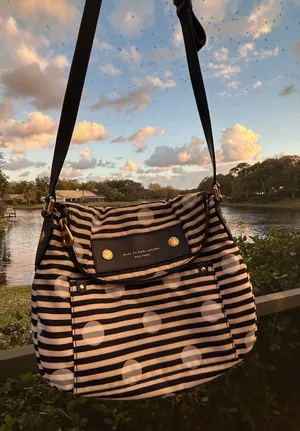 Marc by Marc Jacobs Striped Crossbody Bag thumbnail 1