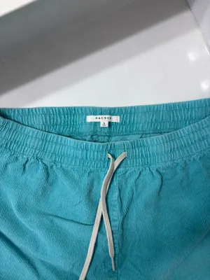PacSun Shorts thumbnail 2