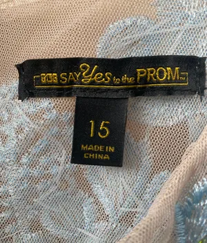 Say Yes To The Dress Prom Dress thumbnail 4