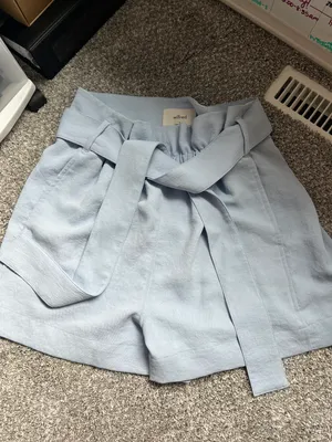 Aritzia wilfred shorts thumbnail 1