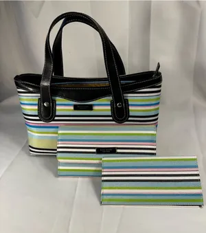 3piece Vintage kate spade Multicolor Stripe Tote w/ Wallet and checkbook holder thumbnail 1