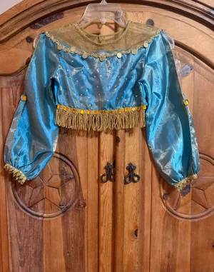 Disney Aladdin 2019 Jasmine Kimono thumbnail 3