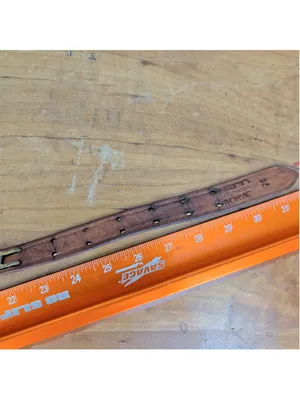 Vintage LL Bean by Bianchi Rifle Sling Style Belt 26 thumbnail 6