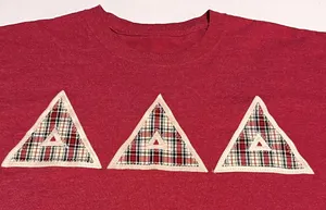 Delta Delta Delta Sorority Womens Large Red Plaid Short Sleeve Shirt Greek *FLAW thumbnail 1