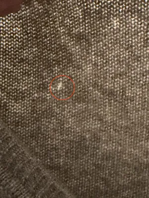 Cashmere By Charter Club Women’s Long Sleeve 2 Ply Cashmere V-Neck Sweater SizeM thumbnail 10