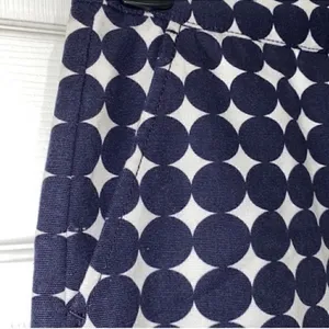 Jcrew Polka Dot Blue and White Cotton Mini Skirt(Size 4) thumbnail 3