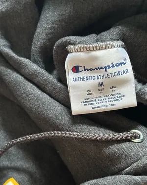 Champion Kent State University Hoodie thumbnail 3