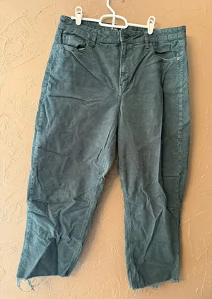 American Eagle Outfitters Jeans Green Corduroy thumbnail 1