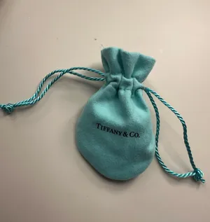 Tiffany & Co. Blue Jewelry Bag thumbnail 2