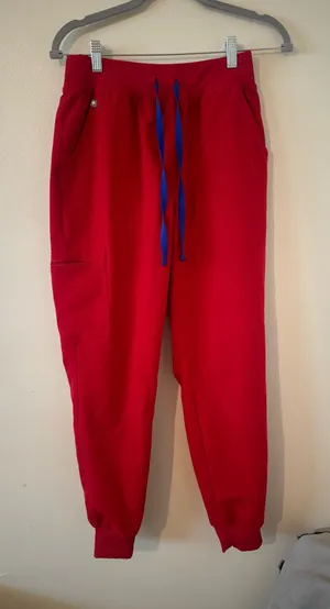 FIGS High-Waisted Zamora Jogger Pants thumbnail 1