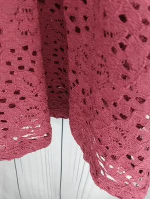 Hollister Burgundy Lace Long Sleeve Fit & Flare Skater Mini Dress NWT thumbnail 10