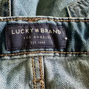 Lucky Brand Cut Off Denim Plus Size Shorts Size 14/32 thumbnail 11