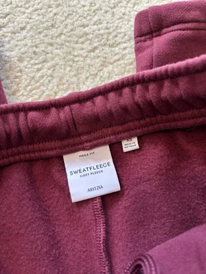 Aritzia Cozyfleece Straight Leg Sweats thumbnail 2