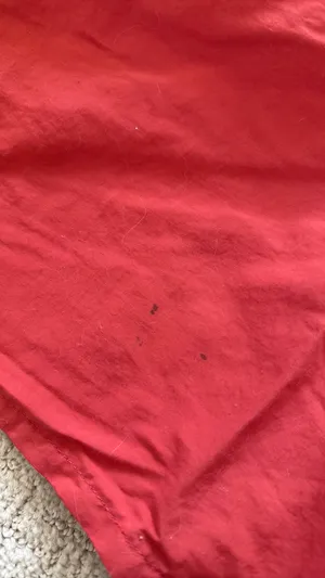 Patagonia Baggies Shorts 5” Red thumbnail 4