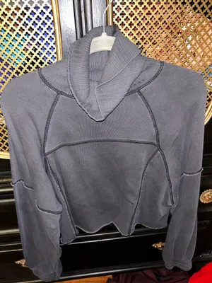 Aerie Sweatshirt Cropped Grey thumbnail 1