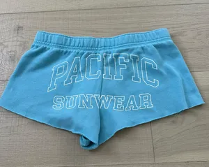 PacSun Sweatshorts thumbnail 2