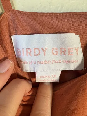 Birdy Grey Terracotta Maxi Bridesmaid Dress Womens 1X Formal Chiffon Classic thumbnail 8