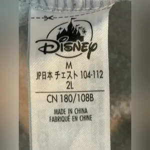 DISNEY Gray Disney Prince Characters Sweatshirt Size Medium thumbnail 5