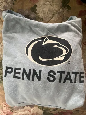 Gildan Hoodie Blue Light Penn State thumbnail 1