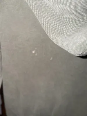 Free People Hoodie thumbnail 5