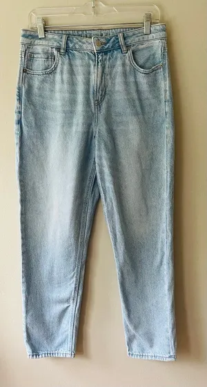 American Eagle Sz 10 Strigid Mom Jeans high rise denim Pants thumbnail 1