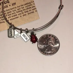 Alex and Ani Silver Tone Ladybug Charm Bracelet thumbnail 4