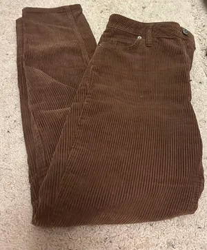 BDG High Waisted Brown Corduroy Pants thumbnail 1